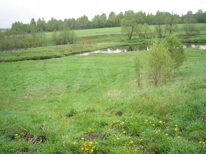 Участок 10 сот. (ИЖС)