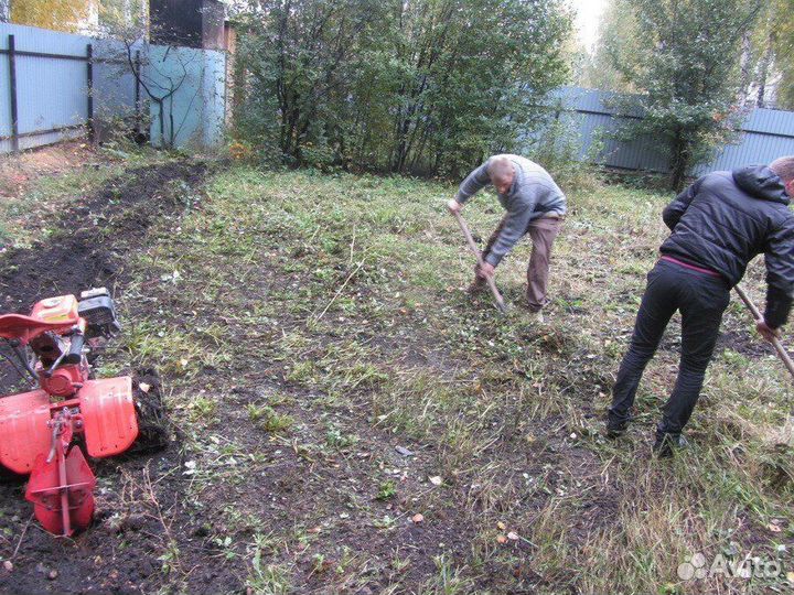 Уборка на вашем участке