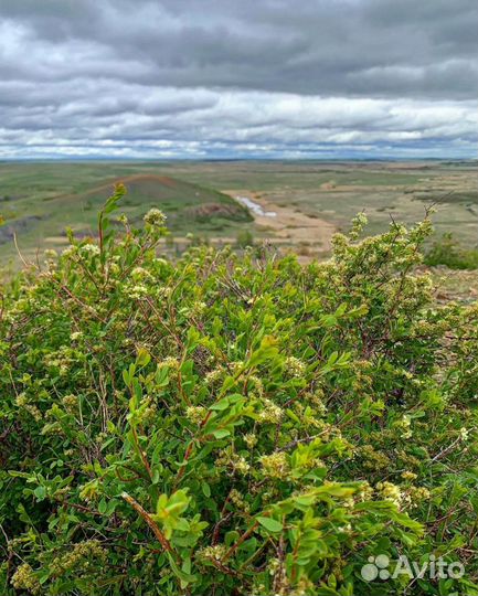 Тур в Аркаим май 2024