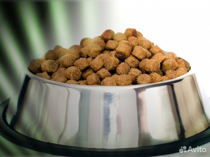Корм для собак