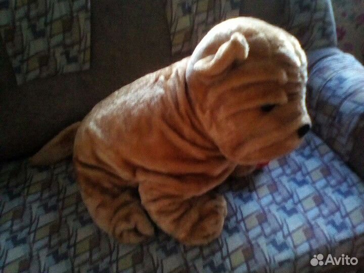 Большой пес