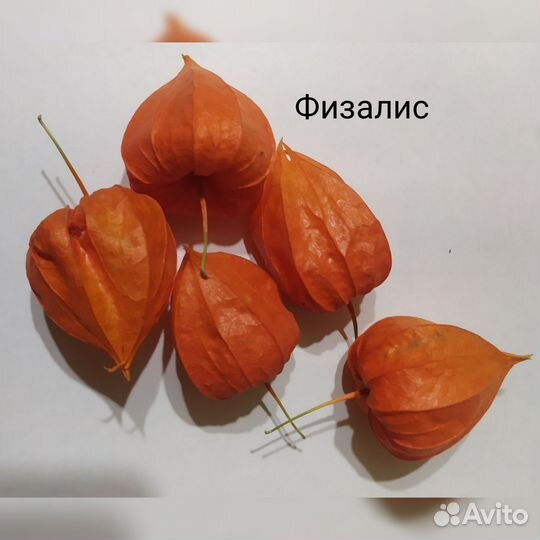 Набор природных материалов