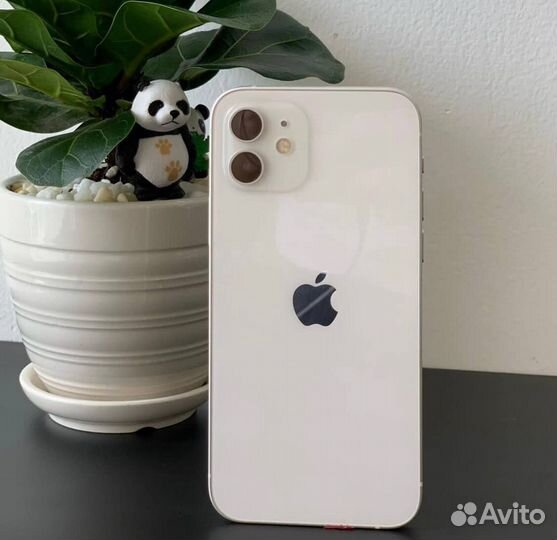 iPhone 12, 256 ГБ