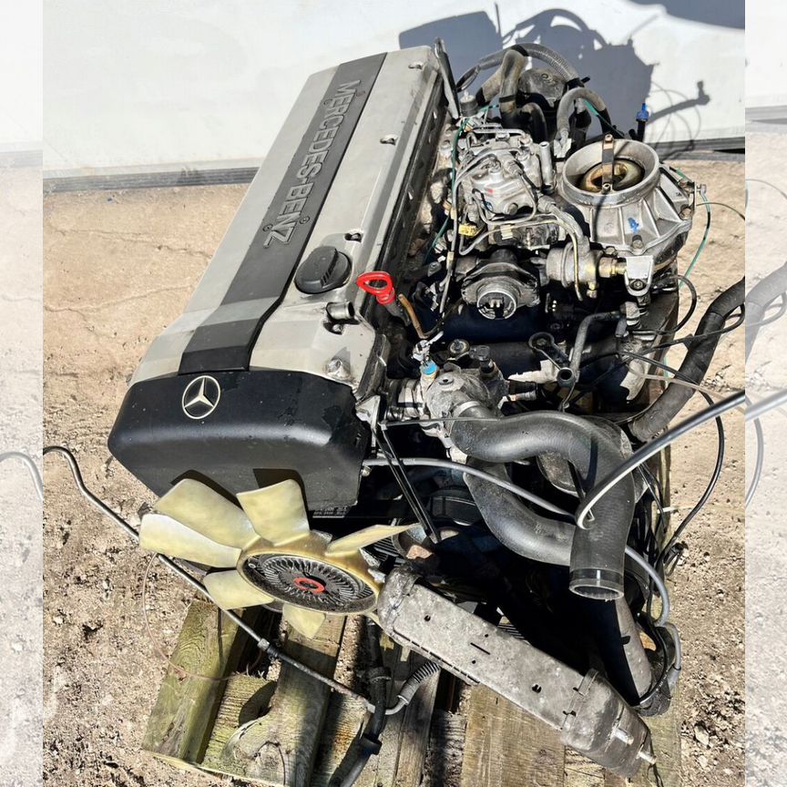 ⭐︎ 구글 랭킹 패권(TG:e10838).zbc