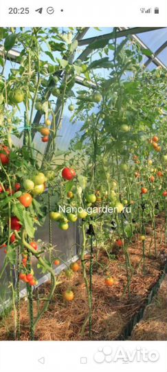 Колышки для помидора