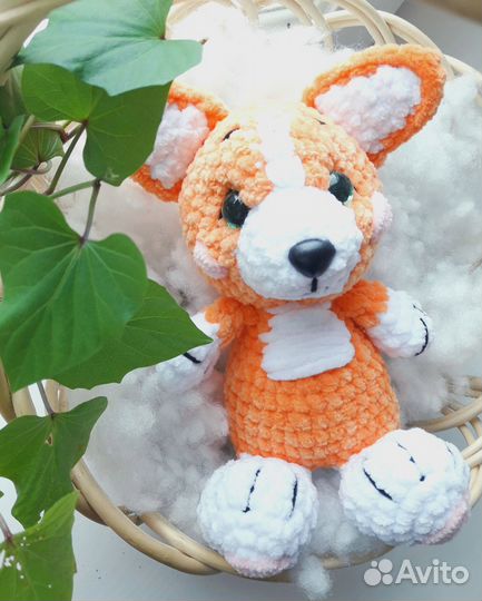 Щенки корги