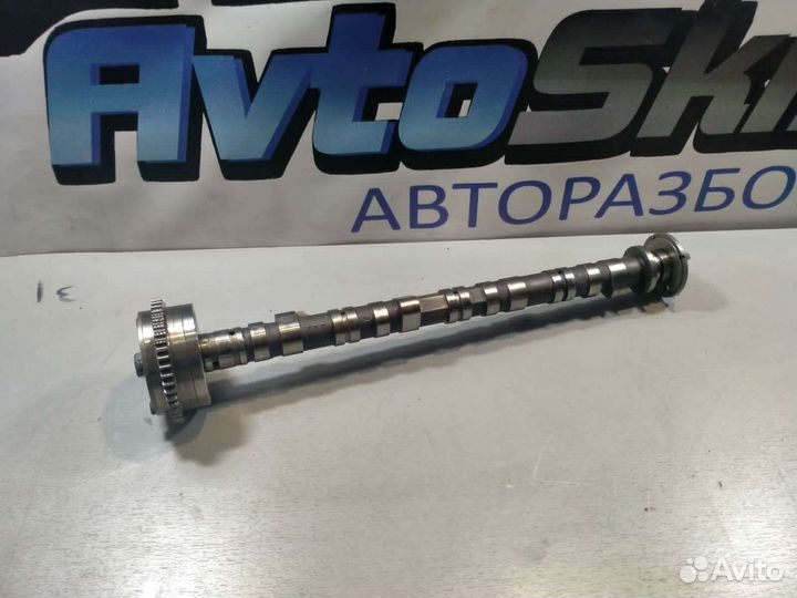 Распредвал впускной Honda Accord 7