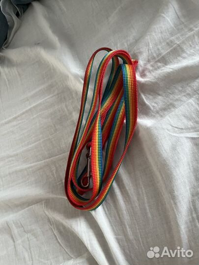 Амуниция для собак