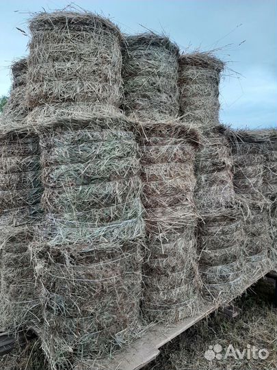 Сено в рулончиках