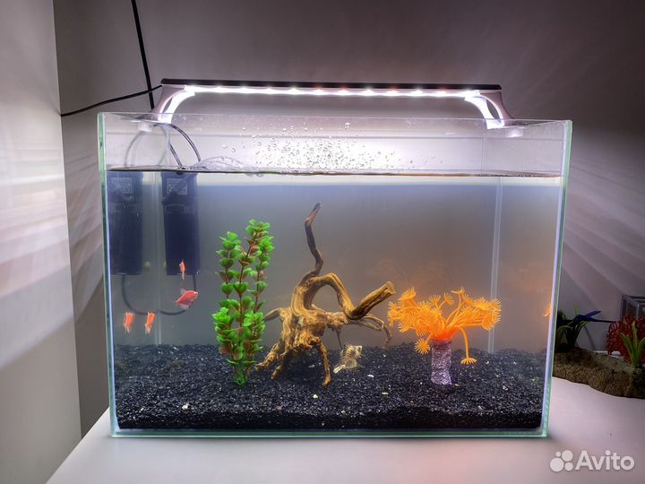 Аквариум