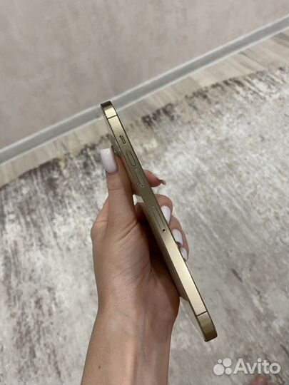 iPhone 12 Pro Max, 256 ГБ