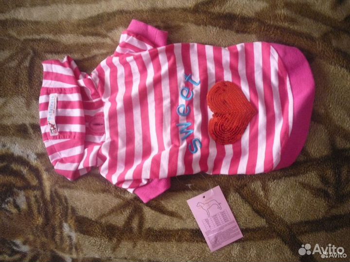 Одежда для собак