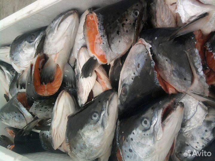 Суповой набор из лосося