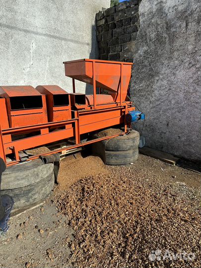 Орех кедровый