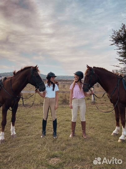 Конные прогулки