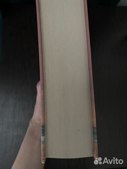 Книга прощения Л. Виилма