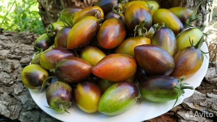 Помидоры домашние редких сортов