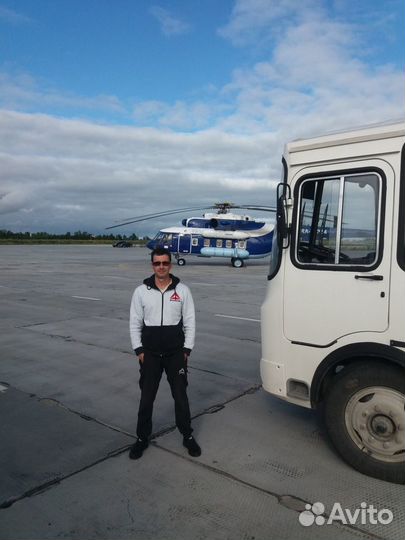 Водитель автобуса В С D, карта скзи