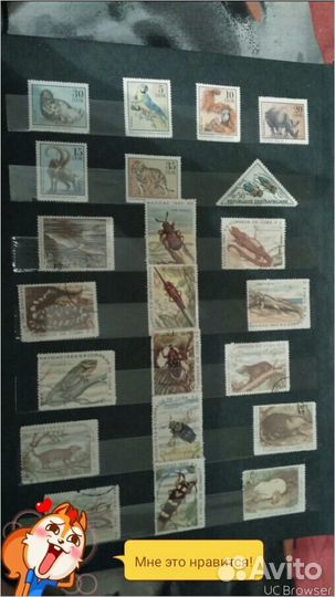 Продам кляссер с марками