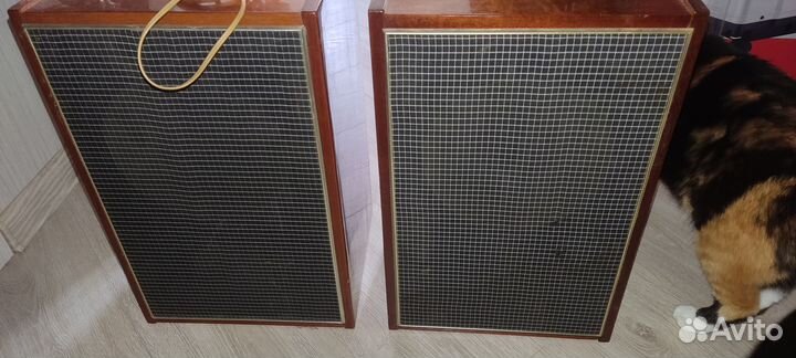 Колонки 10мас-1М