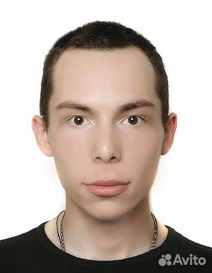 Программист C#