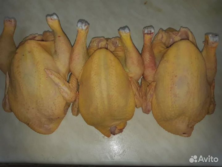 Тушка бройлера, утки