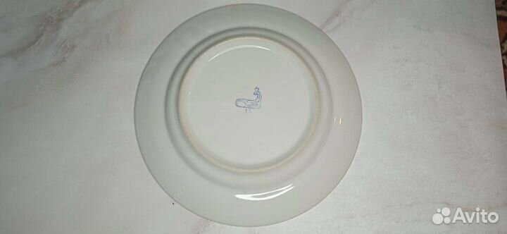 Тарелки бу ссср, Богдановичи, дфз, Городница