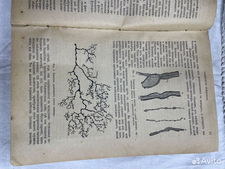 Книга «Философская хрестоматия» 1907 г. (Сзр)