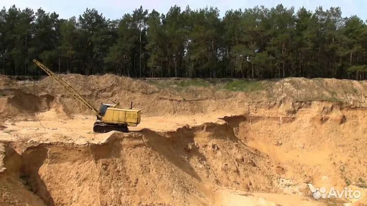 Песок тараканом