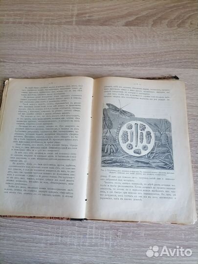 Антикварная книга. Приложения к ж. Маяк 1914