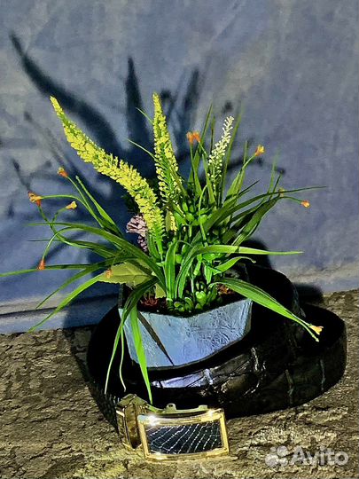 Ремень из натуральной кожи крокадила