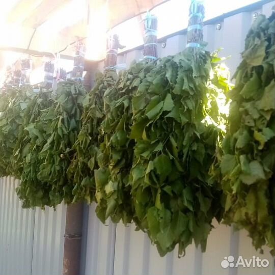 Веники берёзовый, дубовый,эвкалиптовый, пихтовый