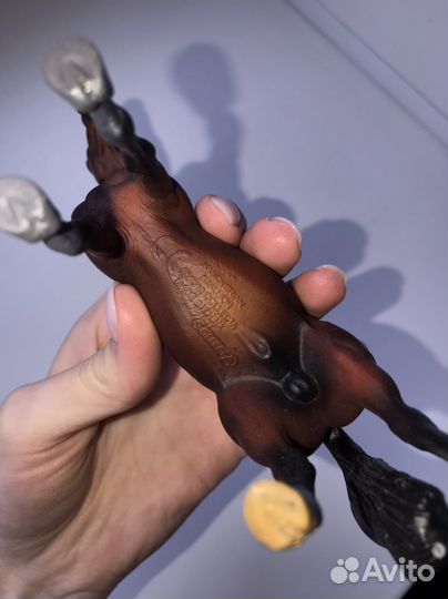 Ганноверский жеребец Collecta