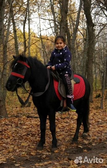 Конные прогулки