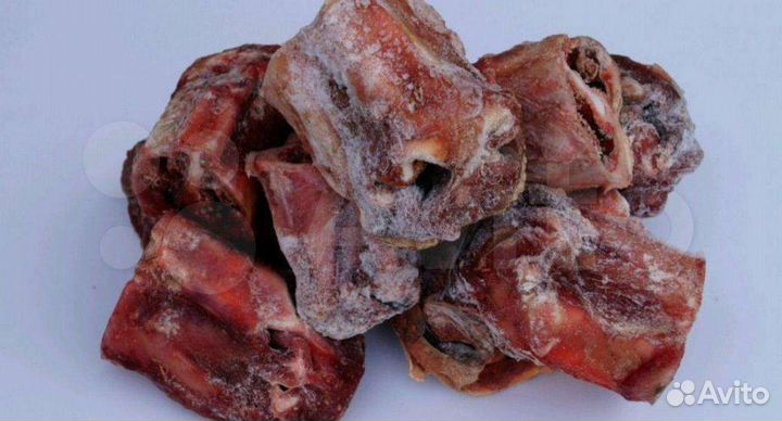 Хрящи носовые собакам