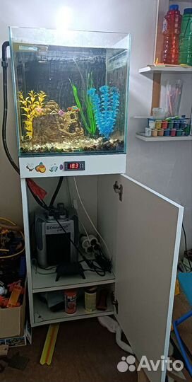 Аквариум с фильтром и светом