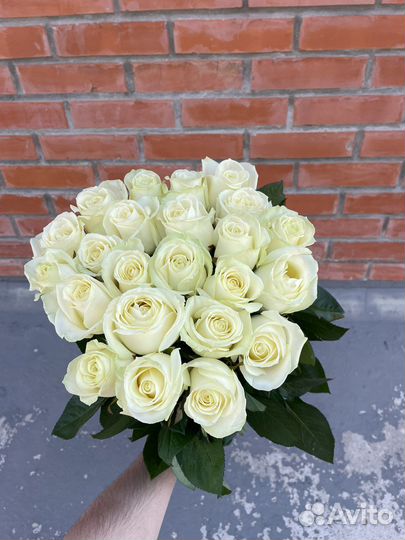 Белая роза Голландия. Букеты из роз
