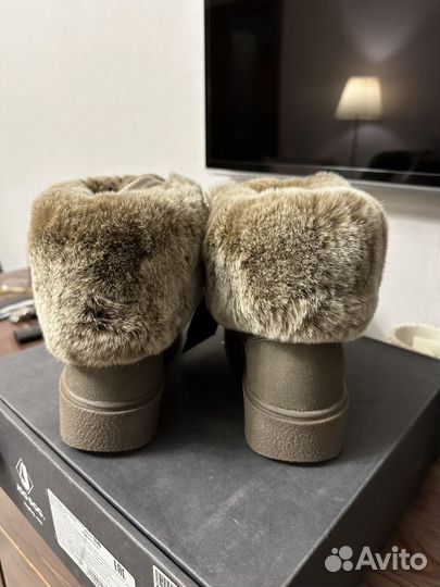 Jog dog 36 новые