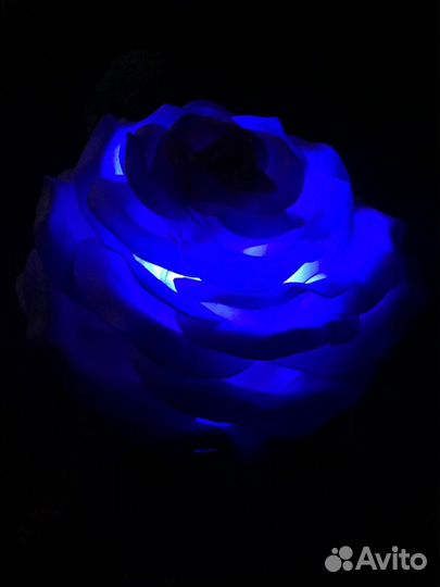 Светильники