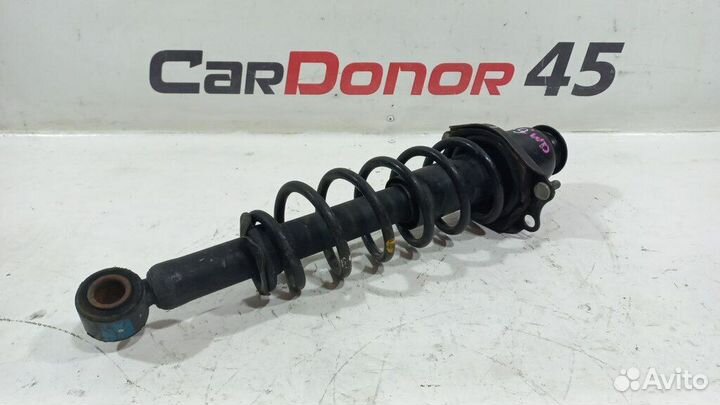 Амортизатор в сборе задний б/у для Toyota Will VS