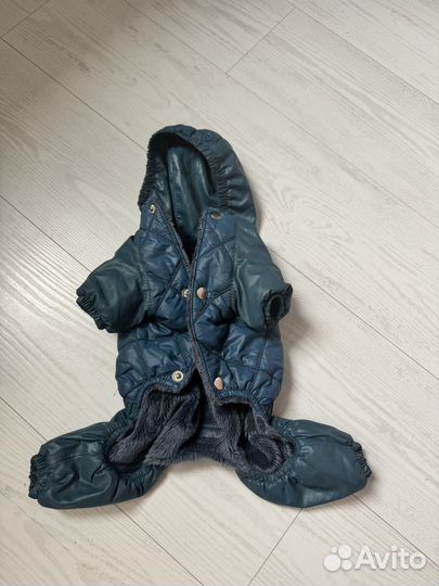 Комбинезон для собаки