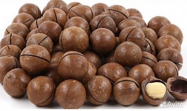 Макадамия Орех