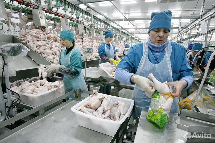 Ищем работника на птицефабрику Челябинск