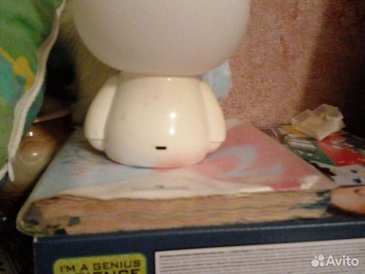 Медведь ночник