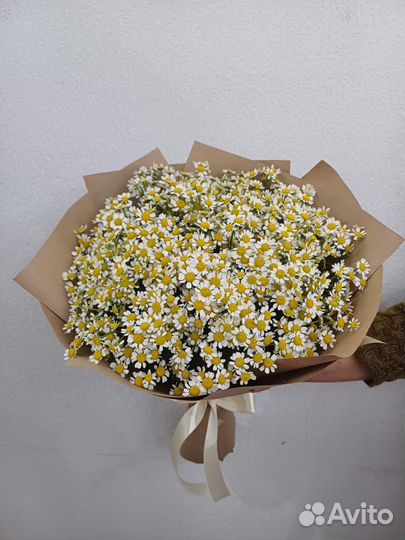 Цветы Букеты Шары Доставка Волжский Волгоград