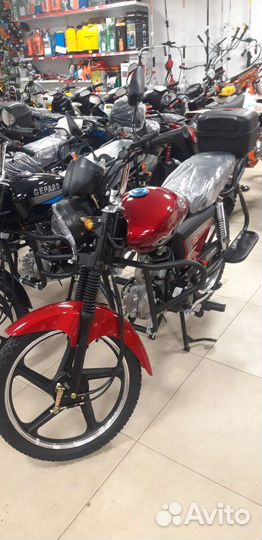 Мопед 50cc Альфа (110) (ассортимент)