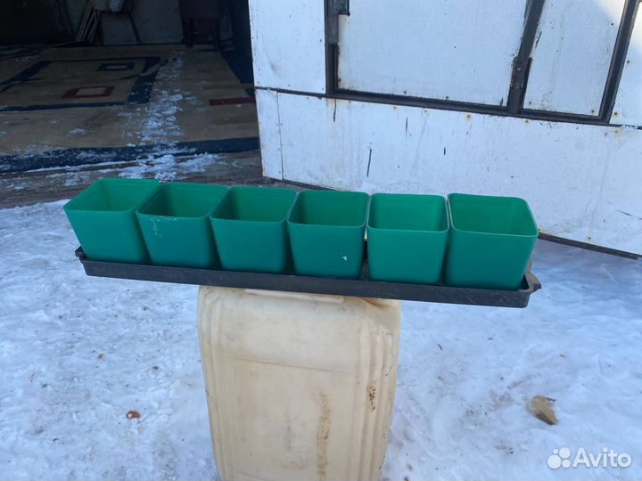 Комплект для рассады