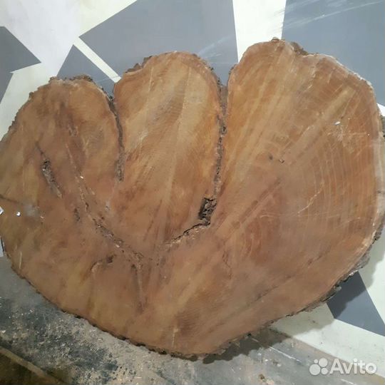 Слэб шелковица