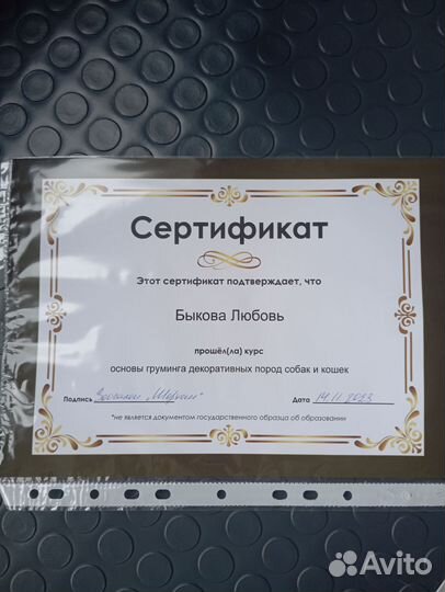 Груминг шпицев и йорков