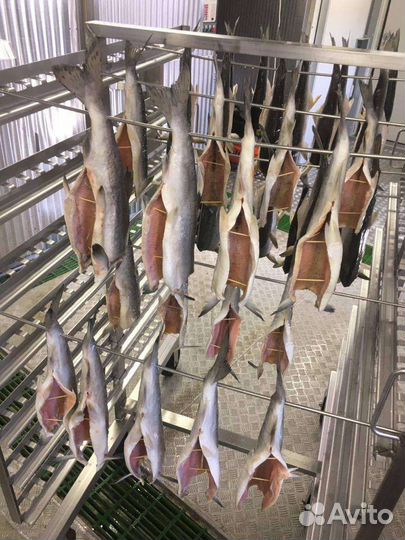 Контейнерный цех по переработке рыбы (мяса)